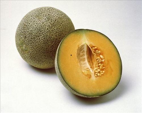 甜蜜吃瓜是什么生肖,探寻瓜农丰收喜悦