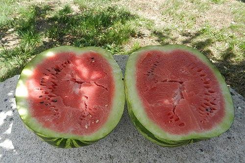 梦见白天吃瓜,白天吃瓜的奇幻之旅