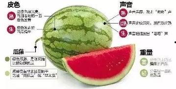 微信法律吃瓜,揭秘网络社交的法律边界与风险