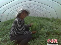 睢宁最新吃瓜事件,揭秘背后惊人真相