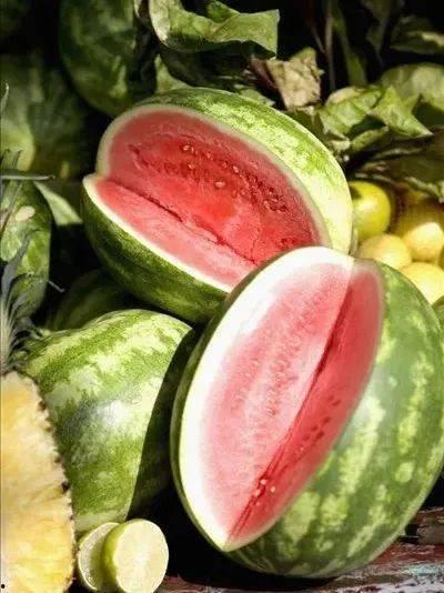 吃瓜纯元,揭秘娱乐圈背后的真相与八卦