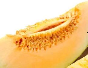 吃蜜瓜的镜头,镜头下的夏日美味瞬间