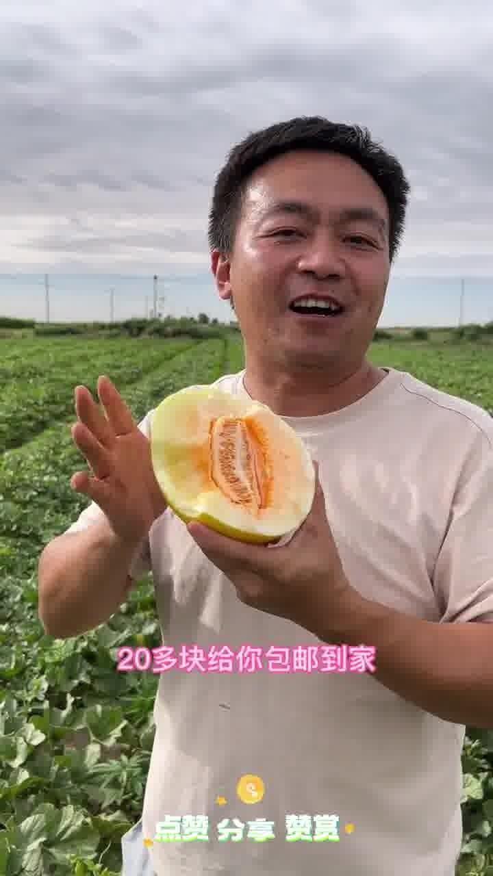 吃民勤蜜瓜视频,甘甜如蜜，视觉与味蕾的双重盛宴