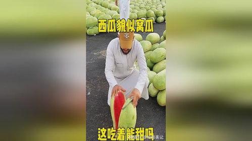 窝瓜吃瓜,揭秘娱乐圈的甜蜜瓜果与苦涩真相