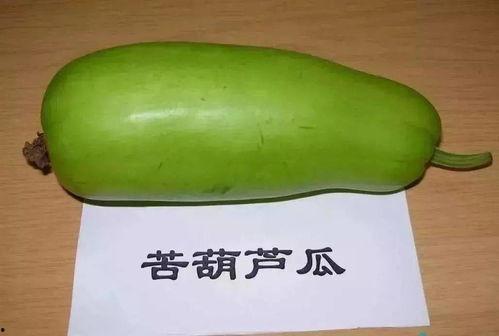 葫芦瓜吃的季节,葫芦瓜美食之旅