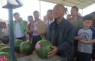 柬埔寨吃瓜群众,吃瓜群众的热情与生活百态