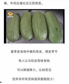 等瓜吃瓜,跟随等瓜吃瓜，共享欢乐时光