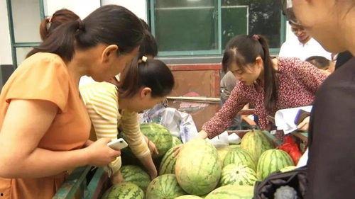 港村吃瓜群众,娱乐圈最新八卦大揭秘！