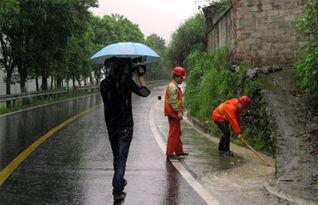 公路采访吃瓜,吃瓜群众的趣味观察