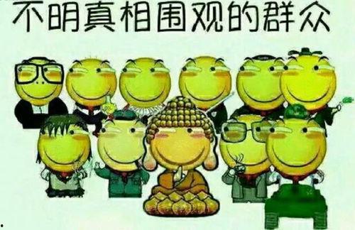 吃瓜群众玩具视频