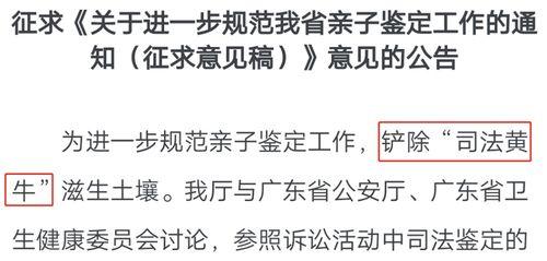 亲子鉴定吃瓜后续,真相大白后的家庭纠葛与情感漩涡