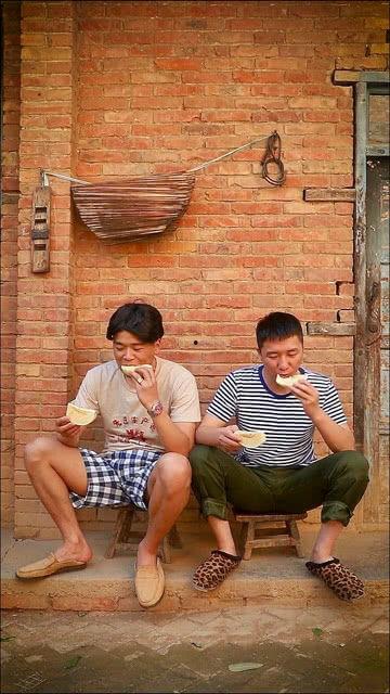 吃瓜挨揍的行为