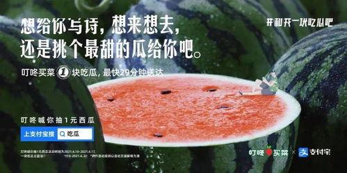 摸鱼吃瓜文案图片,揭秘办公室里的轻松生活瞬间