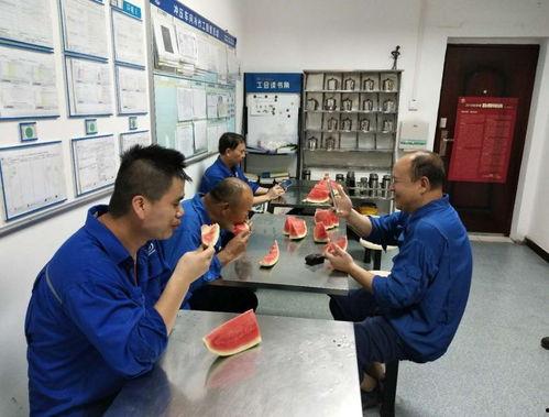 工厂吃瓜群众,揭秘生产线上的生活百态