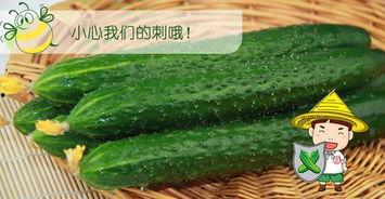 吃瓜防套路,揭秘网络谣言背后的真相